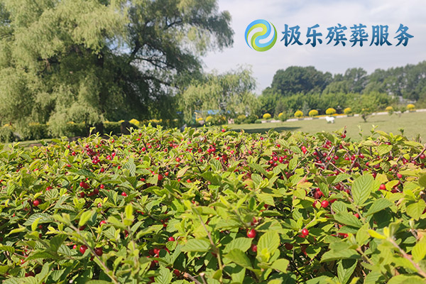 沈陽(yáng)殯葬服務(wù)有哪些不同套餐選擇？